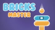 Bricks Master